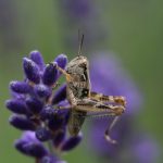 从新手到高手:ak体育为你提供的全面训练指南 ccvayx