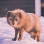 从万利看市场趋势:未来商业模式的创新之路 kfg5i063u