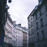 360赛鸽直播网站:实时追踪赛鸽竞翔精彩瞬间 rrln7h5